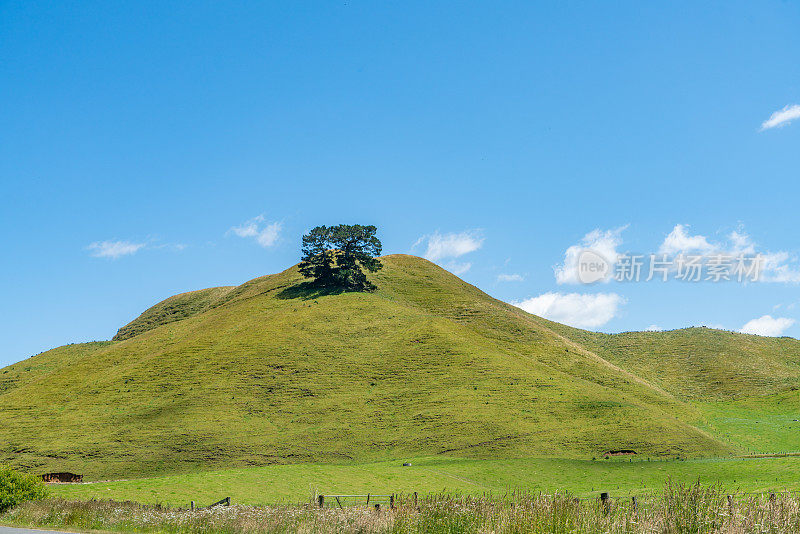 图图考路和热勘探Hwy或国家Hwy 5到Orakei Korako地热公园，新西兰